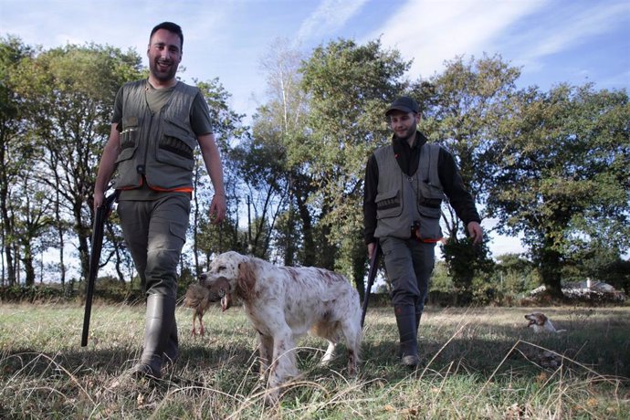 Dos cazadores pertenecientes al Coto de Cela y sus perros de caza han abatido una perdiz en el Tecor Santa Isabel en busca de caza menor, a 16 de octubre de 2022, en Vilela, Outeiro de Rei, Lugo, Galicia, (España). El período hábil general para poder ej