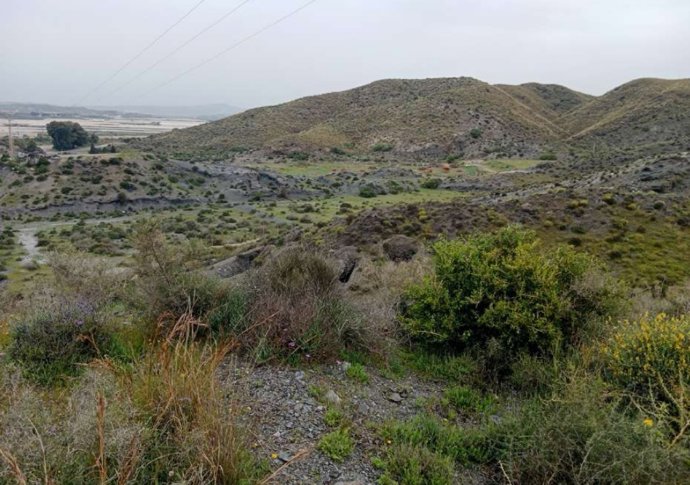 Vista del yacimiento arqueológico de Villaricos, en Cuevas del Almanzora (Almería).