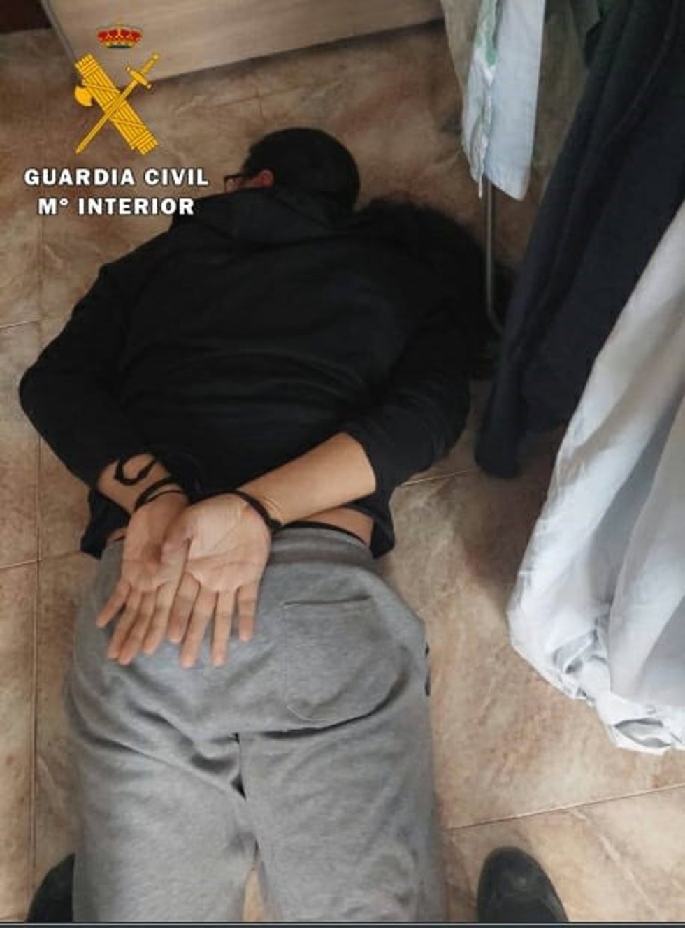 Detenido como presunto autor de la sustracción de un menor de trece meses.