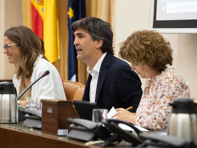 El secretario de Estado de Economía y Apoyo a la Empresa, Gonzalo García Andrés, comparece en comisión