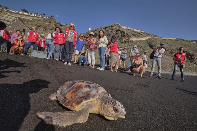 Suelta de tortugas en la playa de La Nea