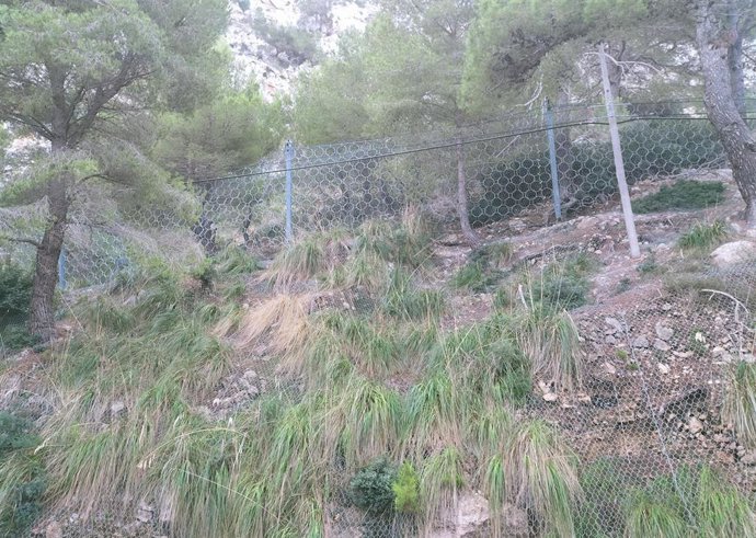 Malla de contención de una ladera de Formentor.