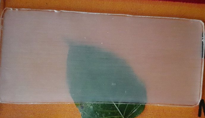 La madera transparente puede ser una alternativa sostenible al vidrio o al plástico que se utiliza para fabricar parabrisas, envases transparentes y dispositivos biomédicos.