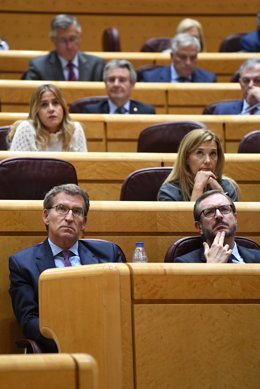 El presidente del Partido Popular, Alberto Núñez Feijóo (i) y el portavoz del Partido Popular en el Senado, Javier Maroto (d), en una sesión de control al Gobierno en el Senado, a 4 de octubre de 2022, en Madrid (España). 