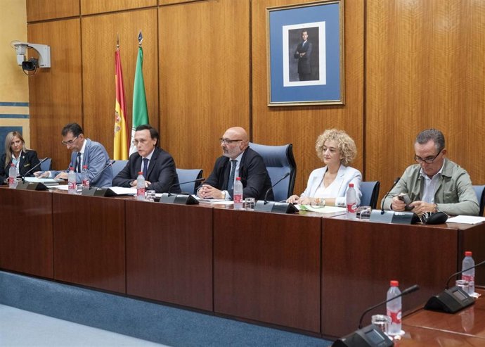 Gómez Villamandos (3 izda.), durante su intervención en el Parlamento andaluz.
