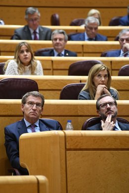El presidente del Partido Popular, Alberto Núñez Feijóo (i) y el portavoz del Partido Popular en el Senado, Javier Maroto (d), en una sesión de control al Gobierno en el Senado, a 4 de octubre de 2022, en Madrid (España). El grupo popular lleva a la ses