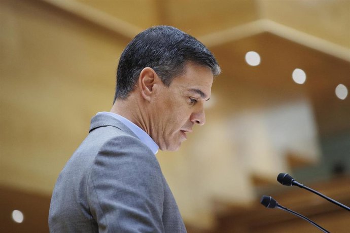 El presidente del Gobierno, Pedro Sánchez, interviene durante su segundo 'cara a cara' en el Senado