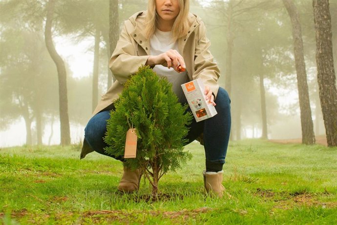 Archivo - TRAPA planta  árboles para reforestar España