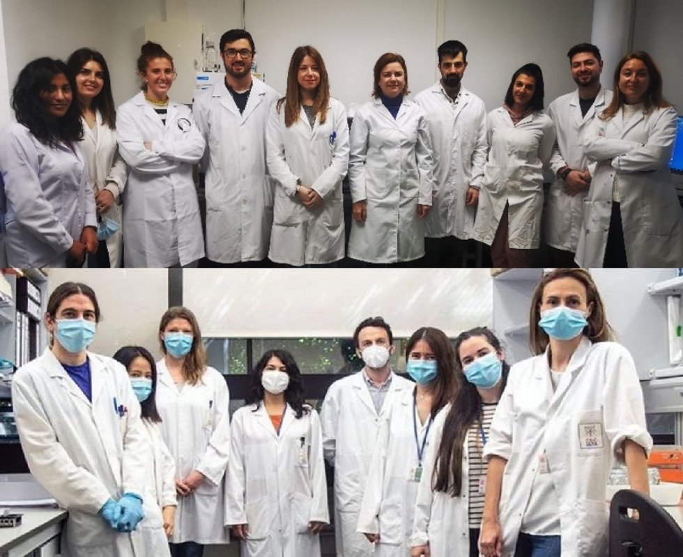 Investigadores de la Universidad de Huelva, el Instituto de Agroquímica y Tecnología de Alimentos del CSIC, responsables de la investigación
