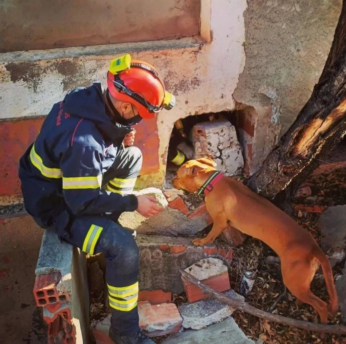 Un bombero de la Unidad Canina del Servicio de Prevención Extinción de Incendios y Salvamento de Alicante fuera de servicio ha rescatado con vida a un hombre que llevaba 24 horas perdido en las Lagunas de Rabasa