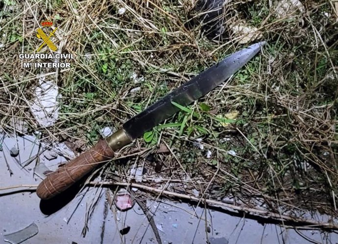 Imagen del armna utilizada