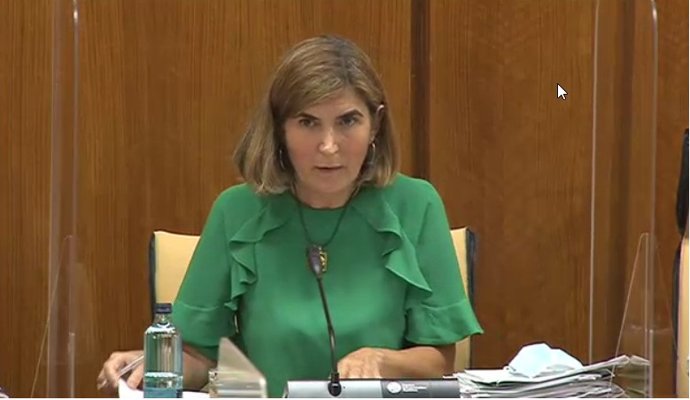 Archivo - La consejera de Empleo, Formación y Trabajo Autónomo, Rocío Blanco, comparece en comisión parlamentaria en una imagen de archivo.