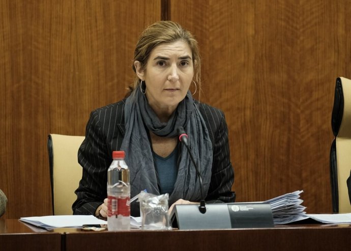 Archivo - La consejera de Empleo, Formación y Trabajo Autónomo, Rocío Blanco, en comisión parlamentaria, en una foto de archivo.