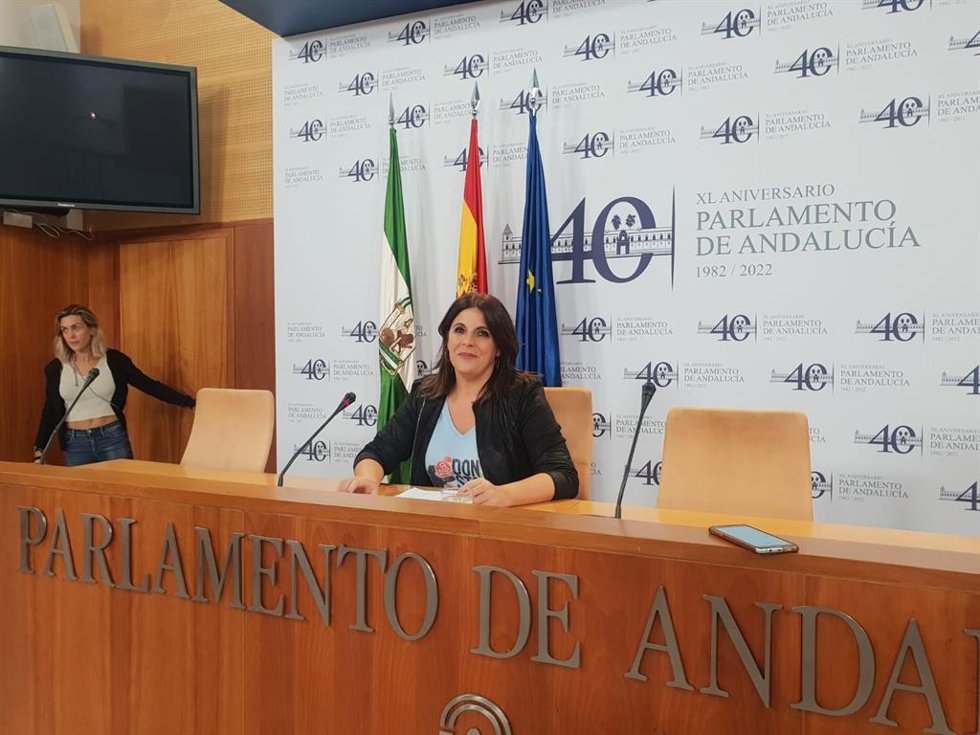 La portavoz del Grupo Socialista en el Parlamento andaluz, Ángeles Férriz, en una rueda de prensa.