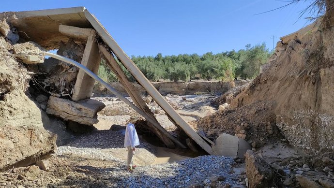Inspección en el puente de Mendoza, derrumbado cerca de Puente del Obispo.