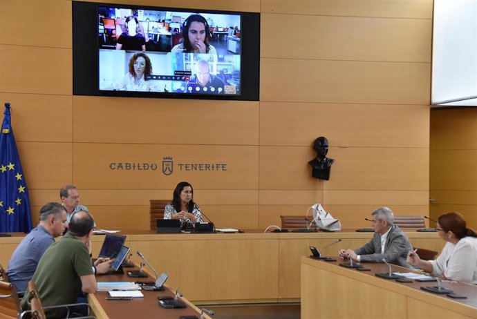 La consejera de Empleo y Desarrollo Socioeconómico del Cabildo de Tenerife, Carmen Luz Baso, en una reunión con asociaciones empresariales