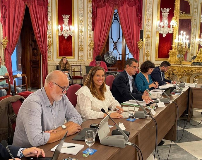 La diputada provincial de Cs, Estefanía Brazo, en el pleno de Diputación de Cádiz