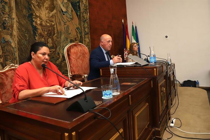 El presidente de la Diputación de Córdoba, Antonio Ruiz, durante el Pleno del mes de octubre.