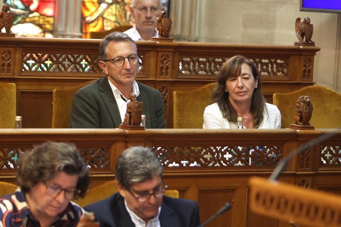 El conseller de Ciudadanos en el Consell de Mallorca, Osvaldo Cifre, durante el Debate de Política General. 