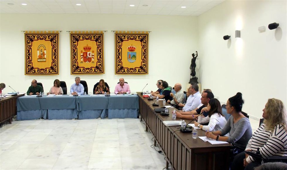 Consejo Local Voluntariado de Estepona