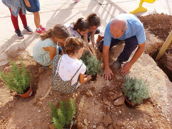 Alumnos del CEIP Mariá Aguiló participando en la siembra de plantas.