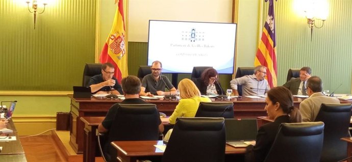 El director general del IB-Salud, Manuel Palomino, en el Parlament.