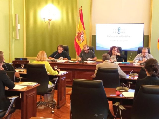 Manuel Palomino, durante su comparecencia en el Parlament.