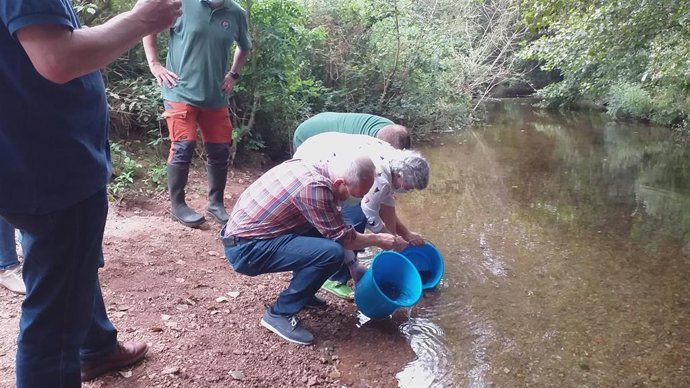 Archivo - Suelta de alevines de trucha autóctona en el río Piles (Archivo)