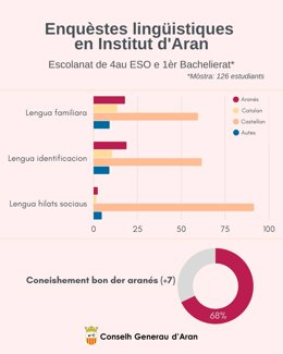 Gráficos de la encuesta lingüística realizada por el Conselh Generau d'Aran en el Institut d'Aran de Vielha