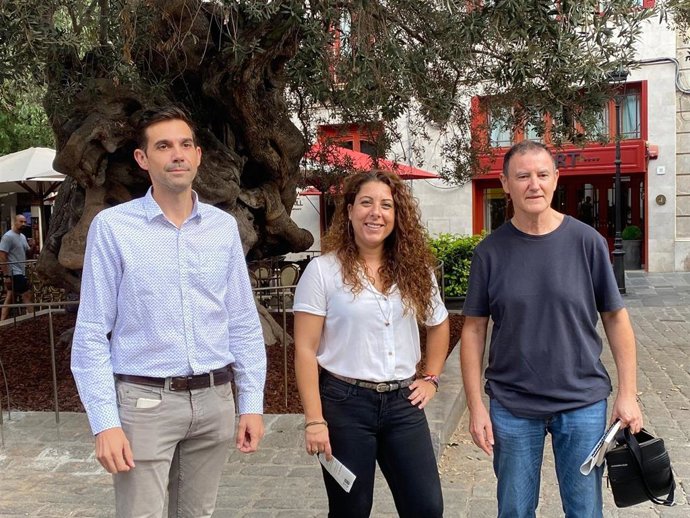 El coordinador de Infraestructuras, Lluís Sureda, la regidora de Infraestructuras, Angélica Pastor, y el técnico municipal Toni Esbert, en la rueda de prensa de la plaza de Cort.