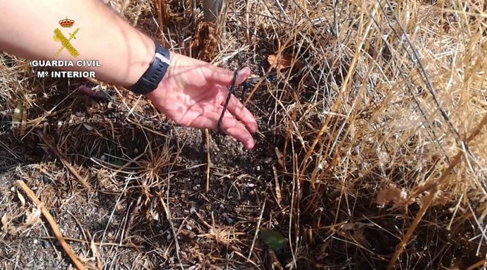 Guardia Civil investiga a una persona que colocaba lazos para la caza furtiva de conejos