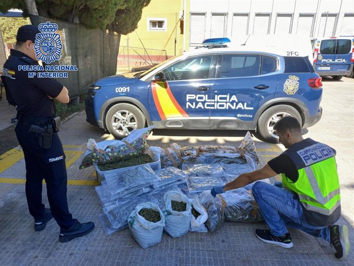 Parte del material intervenido en la operación