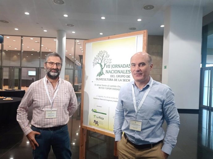 Investigador IFAPA insta a "actuar" porque la adaptación al cambio climático de la olivicultura es "ya" un problema