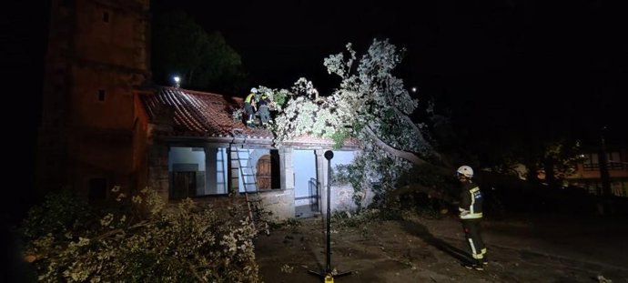 Cae un árbol sobre el tejado de la iglesia de Bustablado