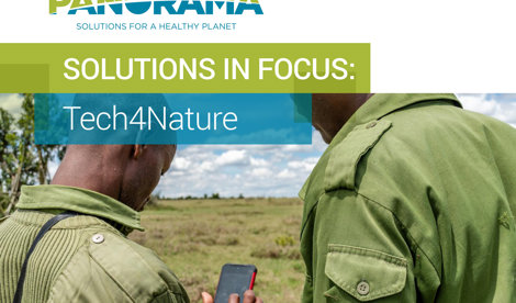 Comunicados Internacional