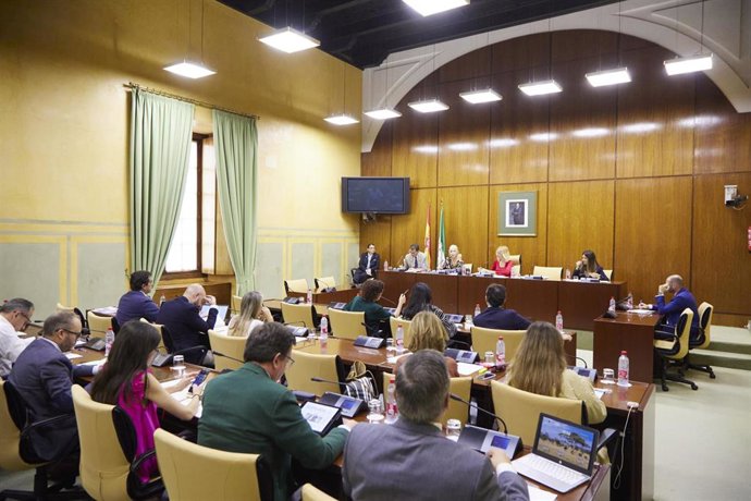 Detalle de la comisión durante la Comisión de Desarrollo Educativo y Formación Profesional en el Parlamento de Andalucía en el Parlamento de Andalucía, a 22 de octubre de 2022 en Sevilla (Andalucía, España)