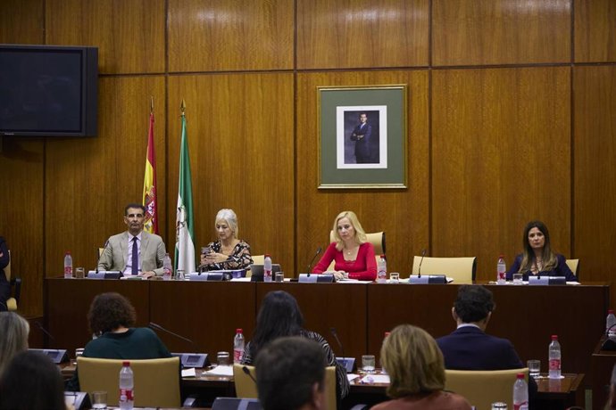 La consejera de Desarrollo Educativo y Formación Profesional de la Junta de Andalucía, Patricia del Pozo, durante la Comisión de Desarrollo Educativo y Formación Profesional en el Parlamento de Andalucía 