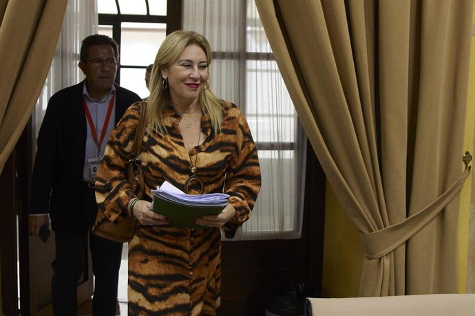 La consejera de Economía y Hacienda de la Junta de Andalucía, Carolina España, durante la Comisión de Economía y Hacienda en el Parlamento de Andalucía en el Parlamento de Andalucía.