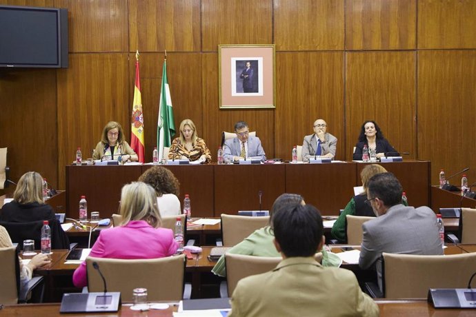 Detalle de la mesa de la comisión durante la Comisión de Economía y Hacienda en el Parlamento de Andalucía.