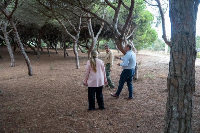 Curtido en La Forestal en Rota.