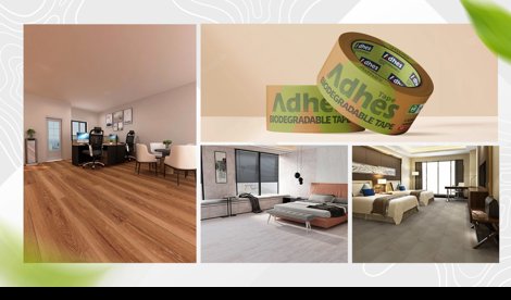 Comunicados Internacional