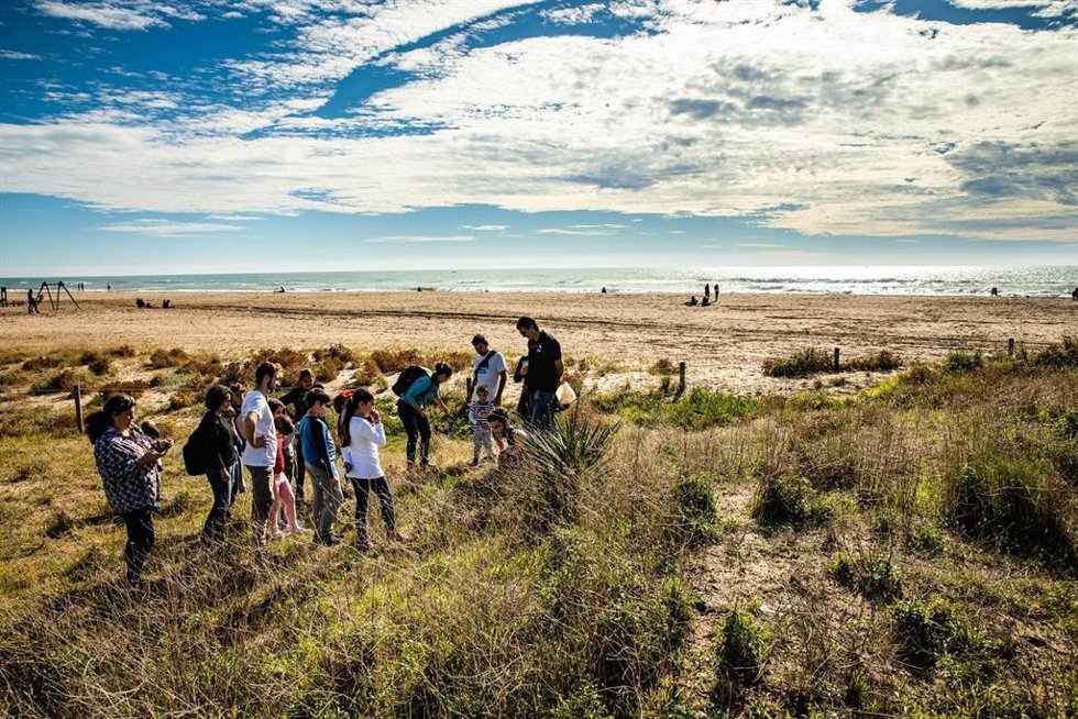 Archivo - Proyecto participativo del AMB para la recuperación de las dunas en Castelldefels (Barcelona).