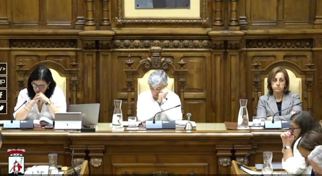 Pleno Municipal de Gijón