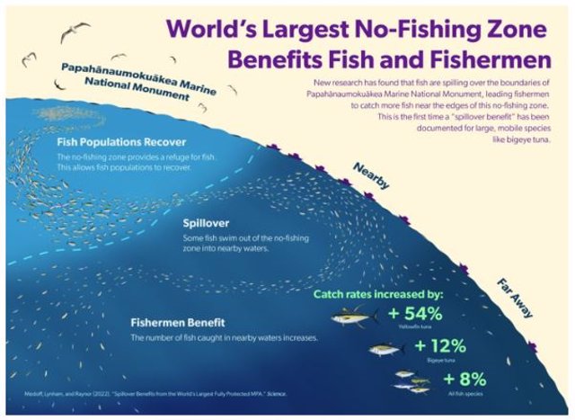 La zona de no pesca más grande del mundo beneficia a los peces y a los pescadores