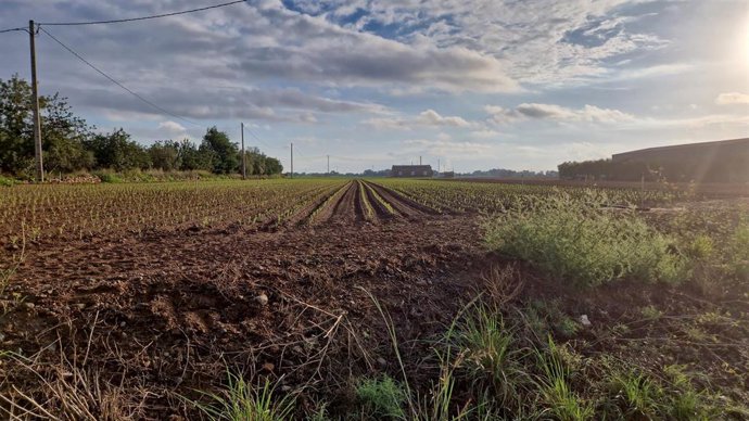 Jarc exige la concreción de la fecha en que se va a recibir la PAC en Catalunya