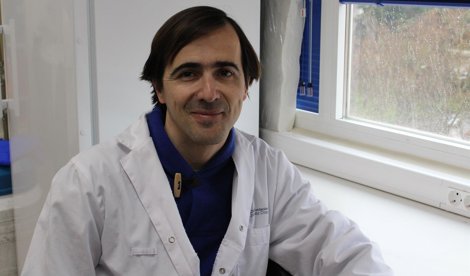 Investigación