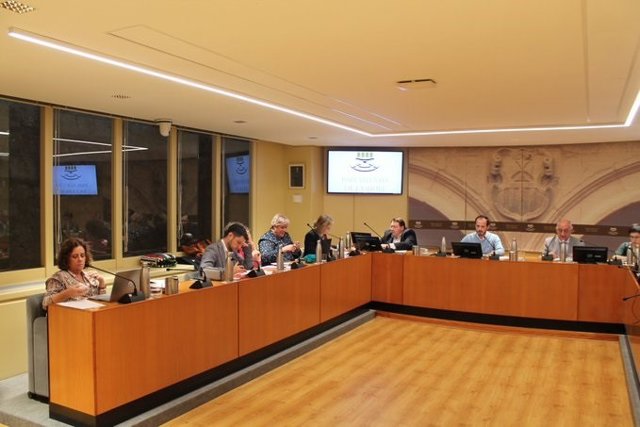 La diputada de IU, Henar Moreno, en la comparecencia del consejero de Educación