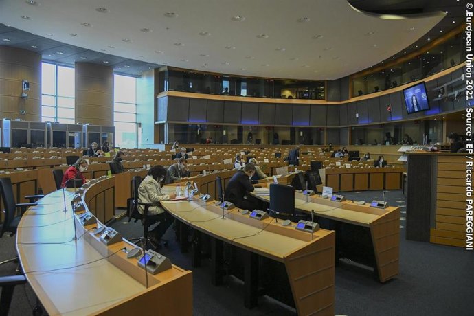 Comisión de Peticiones del Parlamento Europeo.