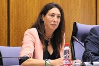 La Junta muestra su "más absoluto rechazo" a la supuesta agresión machista de Manzanilla (Huelva)