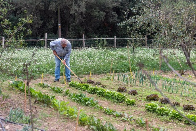 El AMB quiere conservar el mosaico agroforestal de Collserola con un nuevo instrumento.